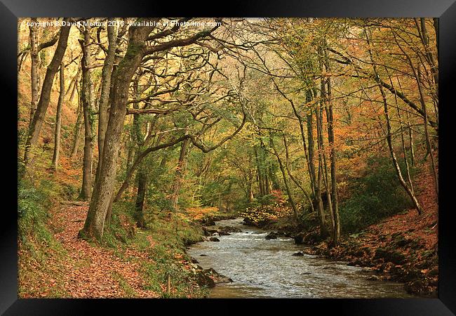  Autumn Trees at Watersmeet Framed Print by David Morton
