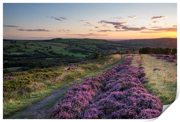  Purple Heather on a summer evening Print by Andrew Kearton