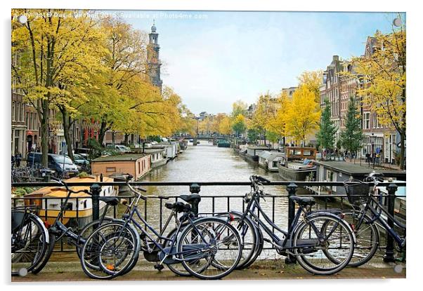  The Bicycle City of Amsterdam Acrylic by David Birchall