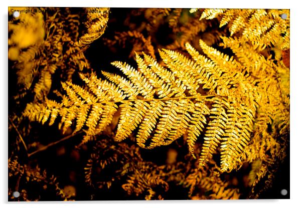  Golden Autumn Fern Acrylic by Debbie Cox