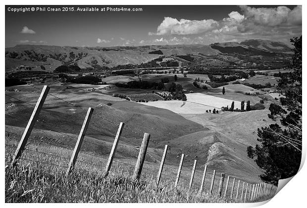 Fenced off hillside, Te Mata, New Zealand Print by Phil Crean