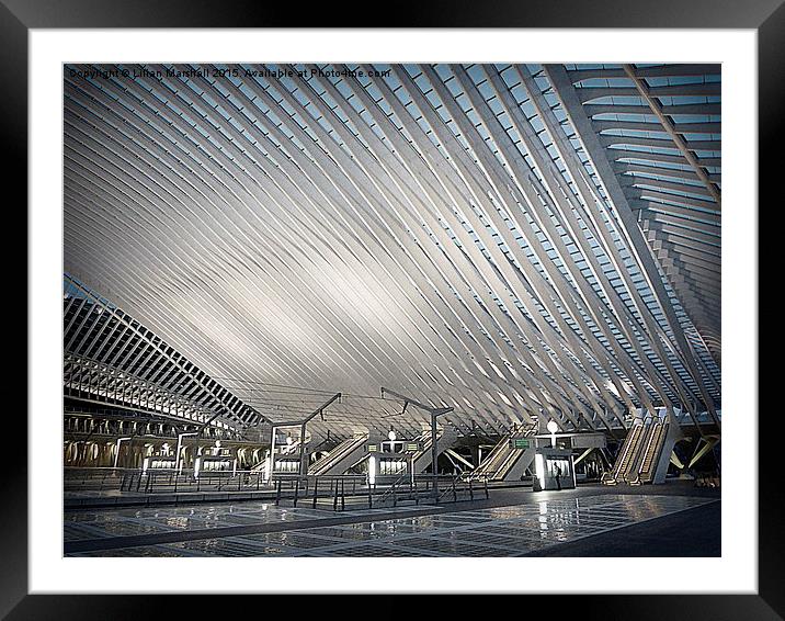  Liege Guillemins TGV Railway Station. Framed Mounted Print by Lilian Marshall