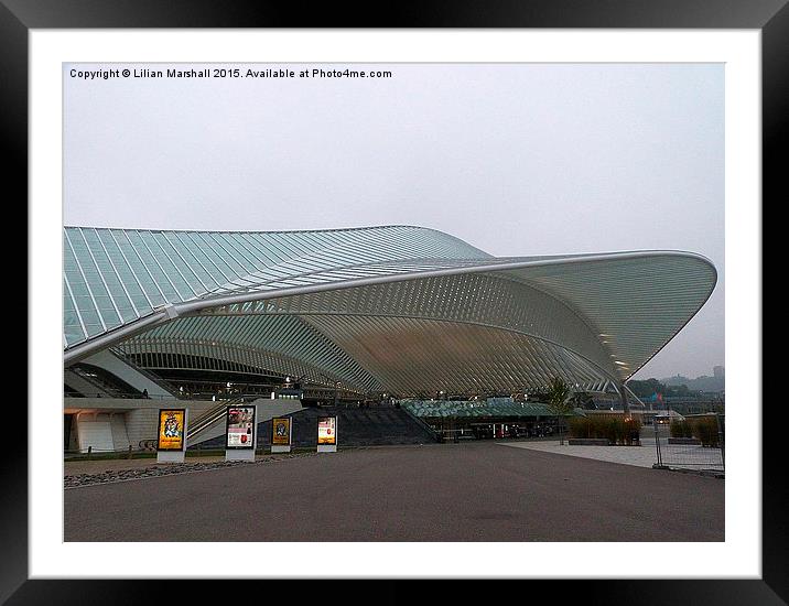  Liege Guillemins TGV Railway Station.  Framed Mounted Print by Lilian Marshall