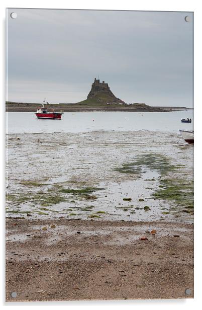 Lindisfarne Castle, holy island  Acrylic by chris smith