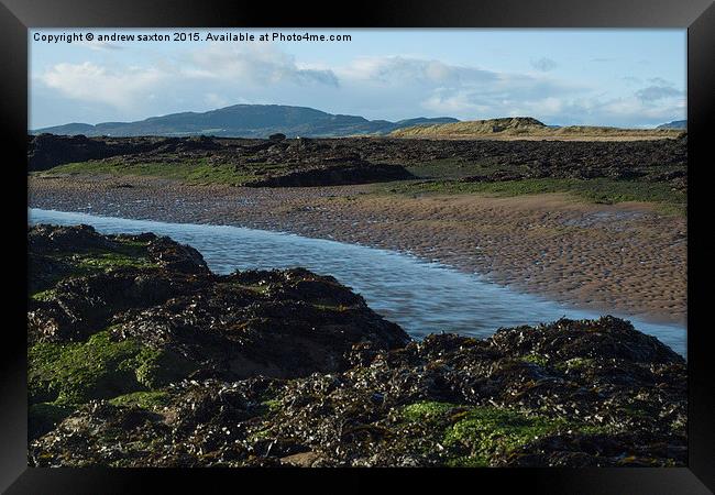  LOOKING IN LAND Framed Print by andrew saxton