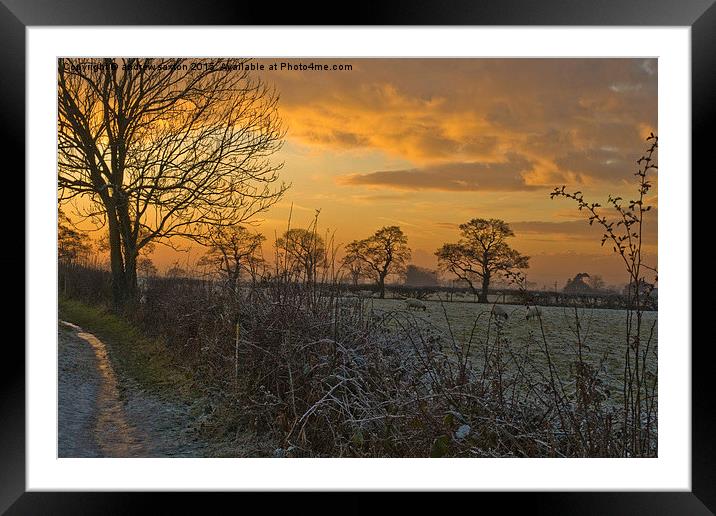  COUNTRYSIDE SUNSET Framed Mounted Print by andrew saxton