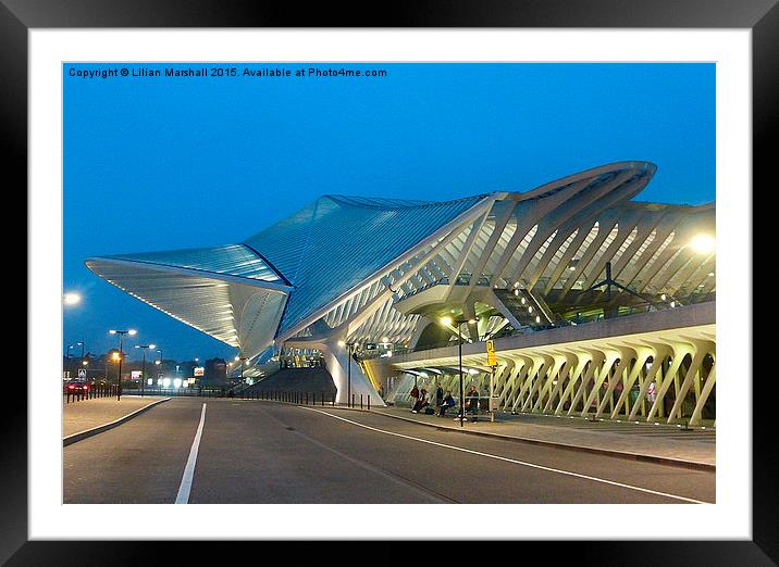  Liege Guillemins Station  Framed Mounted Print by Lilian Marshall