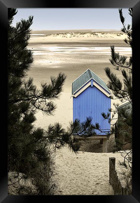 Lonely and Blue Framed Print by Stephen Mole