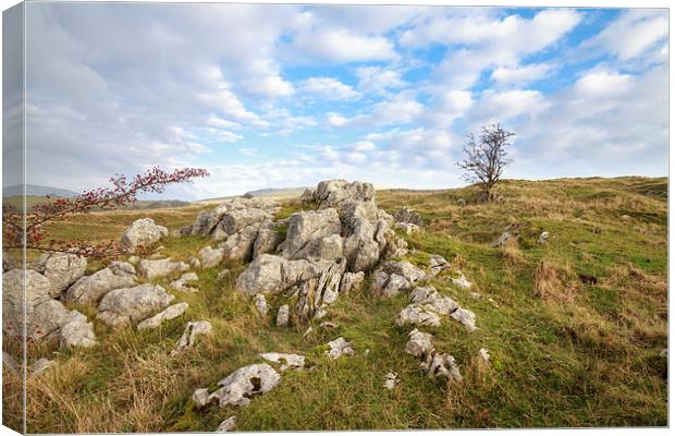 Limestone Pavement in the yorkshire dales.  Canvas Print by chris smith