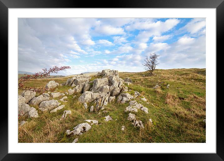 Limestone Pavement in the yorkshire dales.  Framed Mounted Print by chris smith