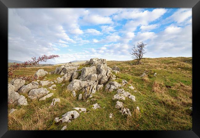 Limestone Pavement in the yorkshire dales.  Framed Print by chris smith