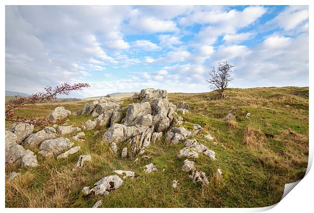 Limestone Pavement in the yorkshire dales.  Print by chris smith