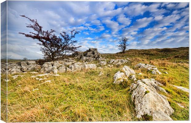 Limestone Pavement in the yorkshire dales   Canvas Print by chris smith