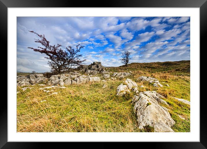 Limestone Pavement in the yorkshire dales   Framed Mounted Print by chris smith