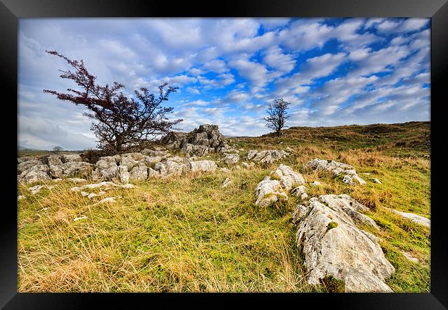 Limestone Pavement in the yorkshire dales   Framed Print by chris smith