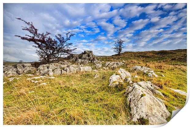 Limestone Pavement in the yorkshire dales   Print by chris smith