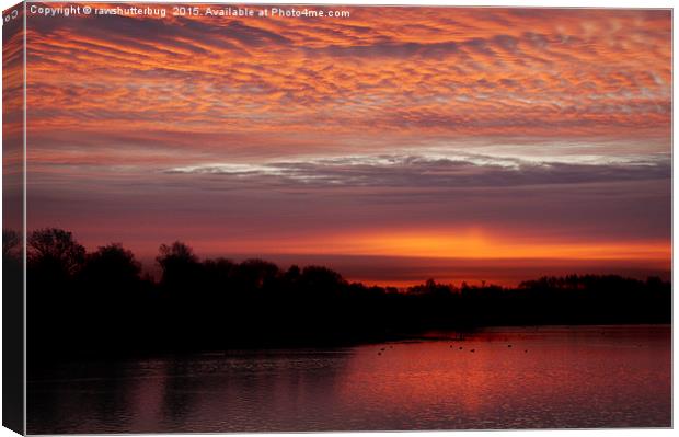 Red Sky At Chasewater Canvas Print by rawshutterbug 