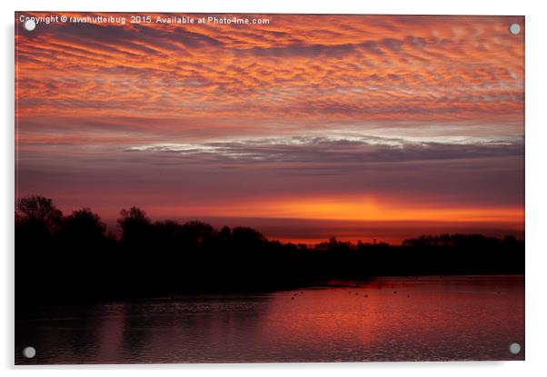Red Sky At Chasewater Acrylic by rawshutterbug 