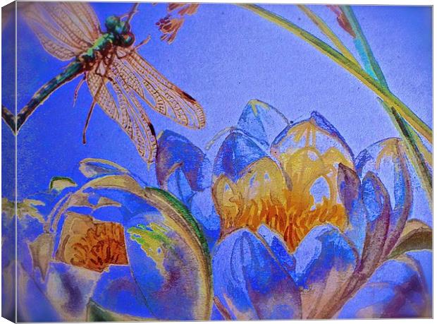  Drawing and Paint Effect of a Dragonfly and Water Canvas Print by Sue Bottomley