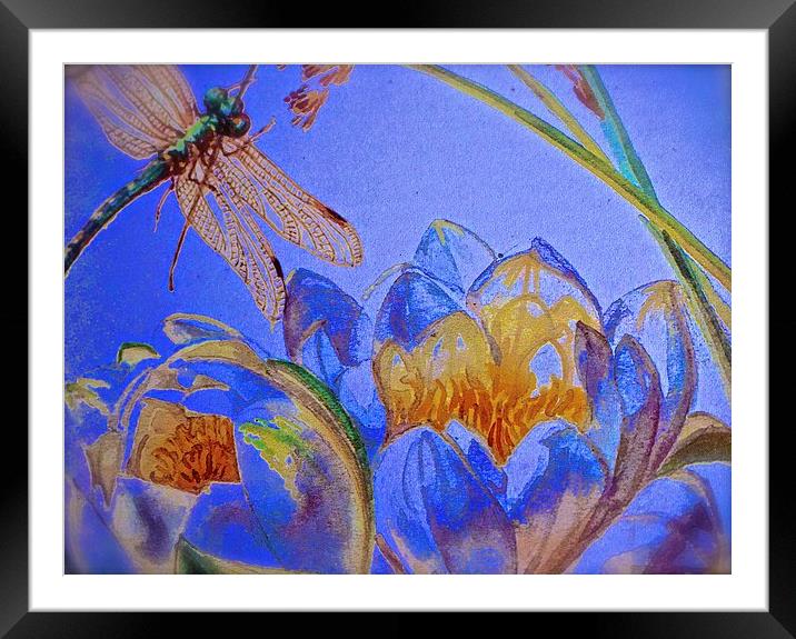  Drawing and Paint Effect of a Dragonfly and Water Framed Mounted Print by Sue Bottomley