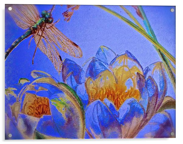  Drawing and Paint Effect of a Dragonfly and Water Acrylic by Sue Bottomley