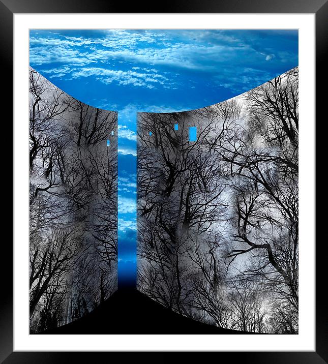 Wood Space Blue  Framed Mounted Print by Florin Birjoveanu