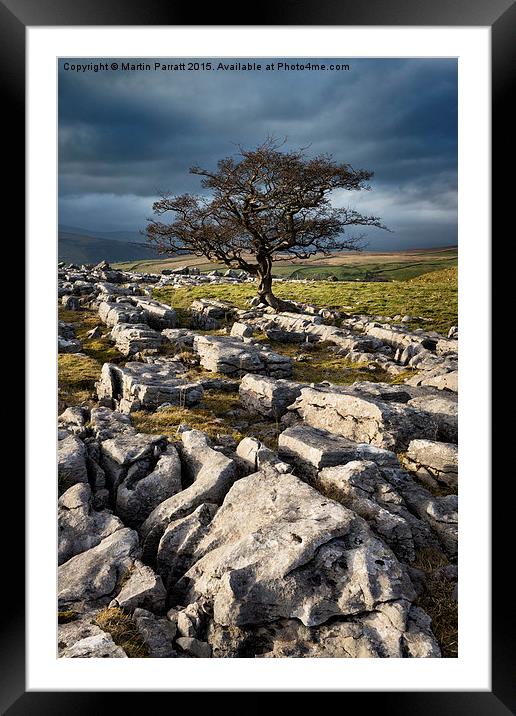 Lone Tree Framed Mounted Print by Martin Parratt