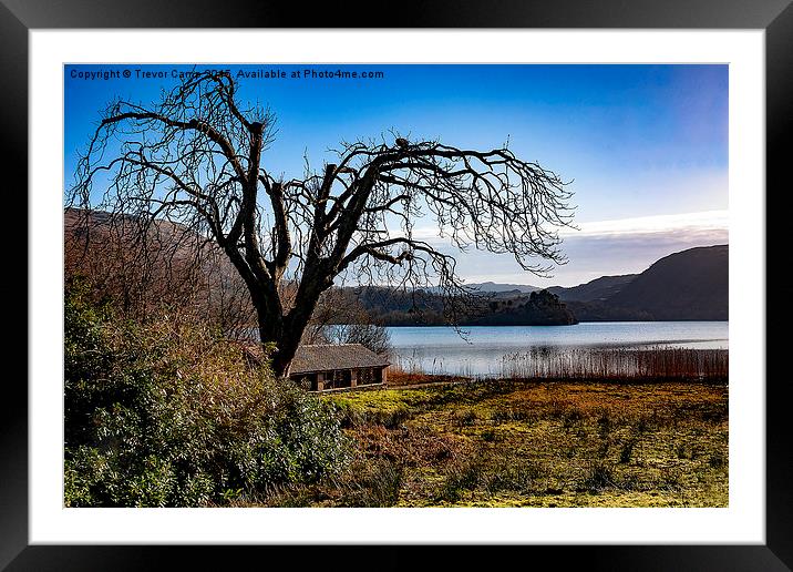 Scarecrow Tree Framed Mounted Print by Trevor Camp