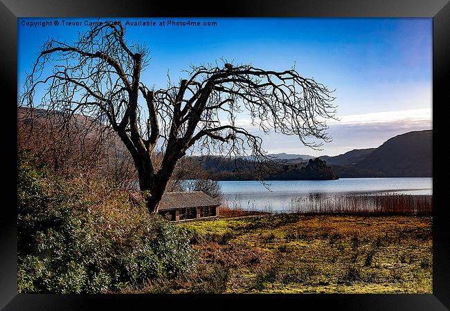 Scarecrow Tree Framed Print by Trevor Camp