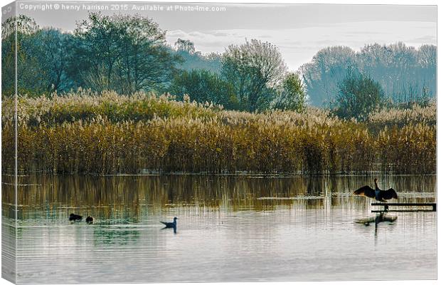  The Wetlands Canvas Print by henry harrison