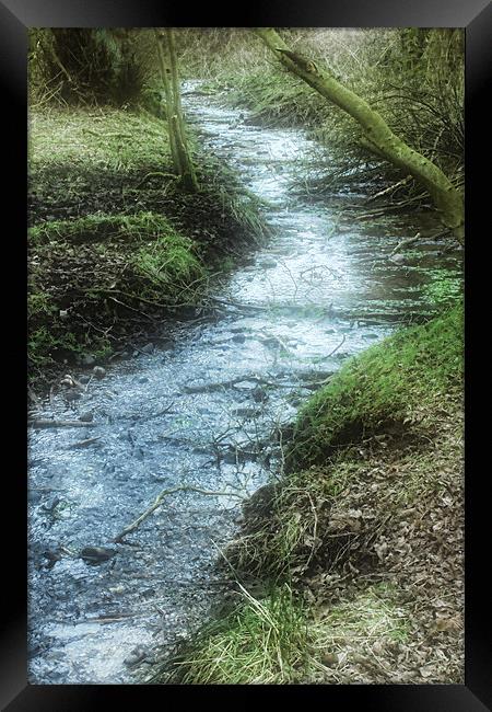 Mossy Stream Framed Print by Ann Garrett