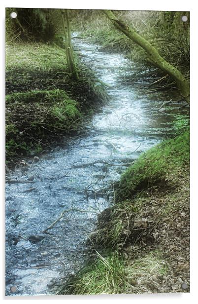Mossy Stream Acrylic by Ann Garrett