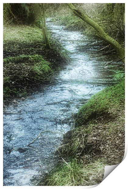 Mossy Stream Print by Ann Garrett