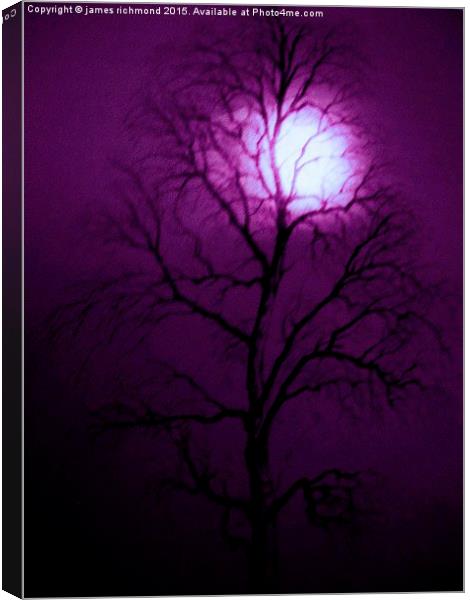 Purple Night  Canvas Print by james richmond