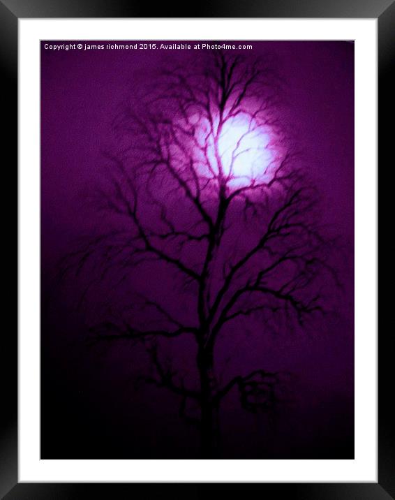 Purple Night  Framed Mounted Print by james richmond