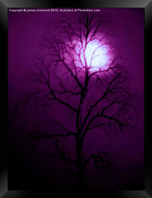 Purple Night  Framed Print by james richmond
