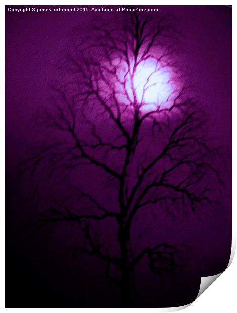 Purple Night  Print by james richmond