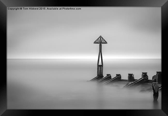  Sea Harbour Groyne Seaton Sluice Framed Print by Tom Hibberd