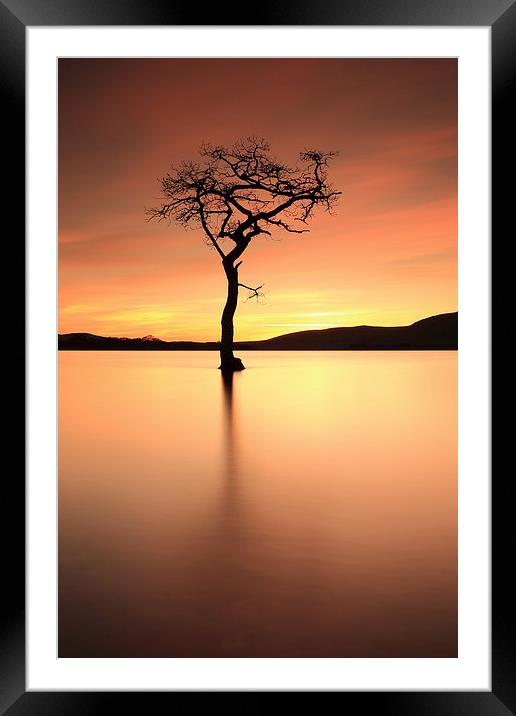  Lone Tree Afterglow Framed Mounted Print by Grant Glendinning