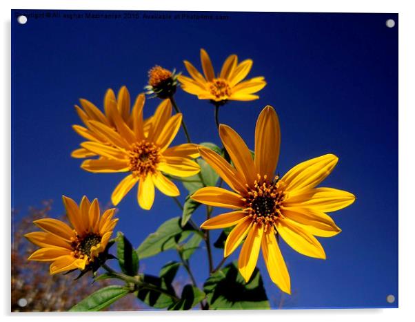  Sunflower against blue sky, Acrylic by Ali asghar Mazinanian
