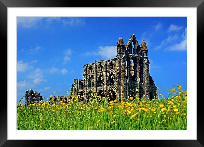  Whitby Abbey Framed Mounted Print by David Chennell