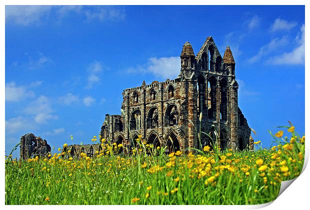  Whitby Abbey Print by David Chennell