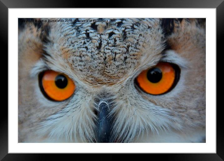  Eurasian Eagle Owl Framed Mounted Print by Jamie Dumbleton