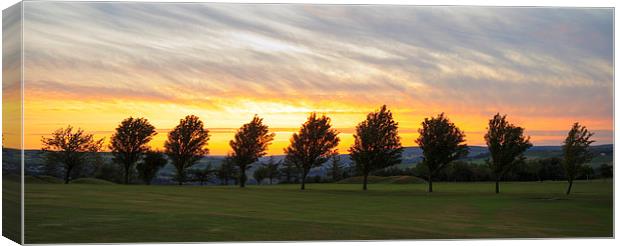 Row of tree golden sunset  Canvas Print by chris smith