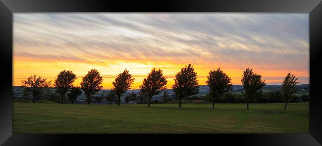 Row of tree golden sunset  Framed Print by chris smith