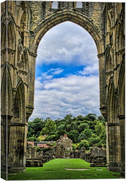  Rievaulx Abbey View Canvas Print by Colin Metcalf