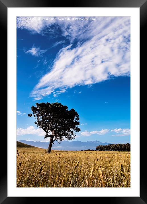  Reaching for the clouds Framed Mounted Print by Phil Crean