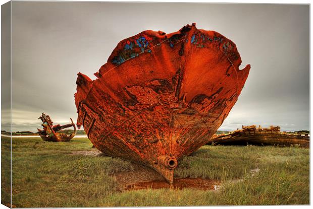  Rusting Wreck Canvas Print by David McCulloch