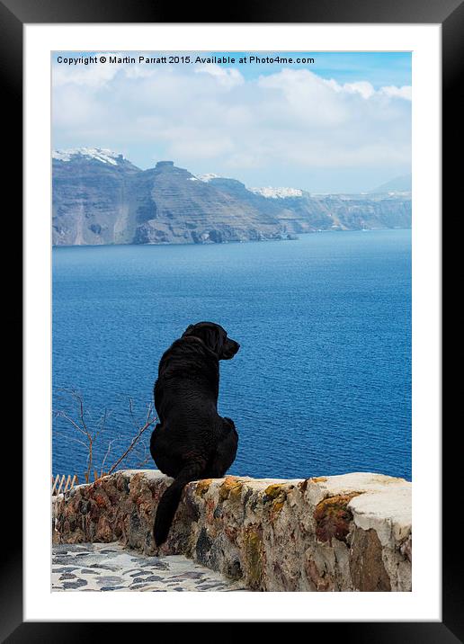Buy Framed Mounted Prints of Santorini Dog by Martin Parratt