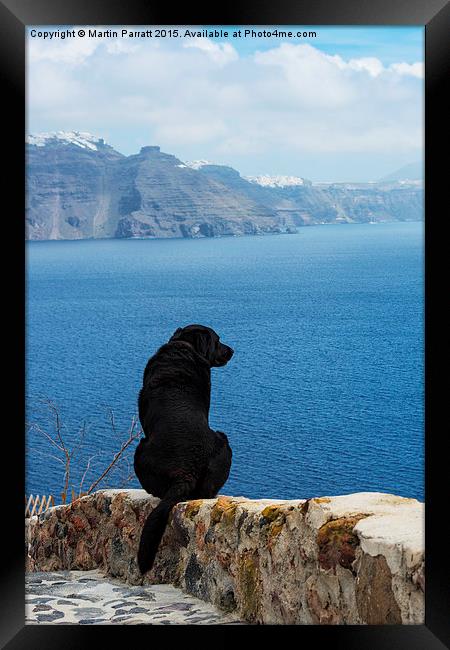 Santorini Dog Framed Print by Martin Parratt